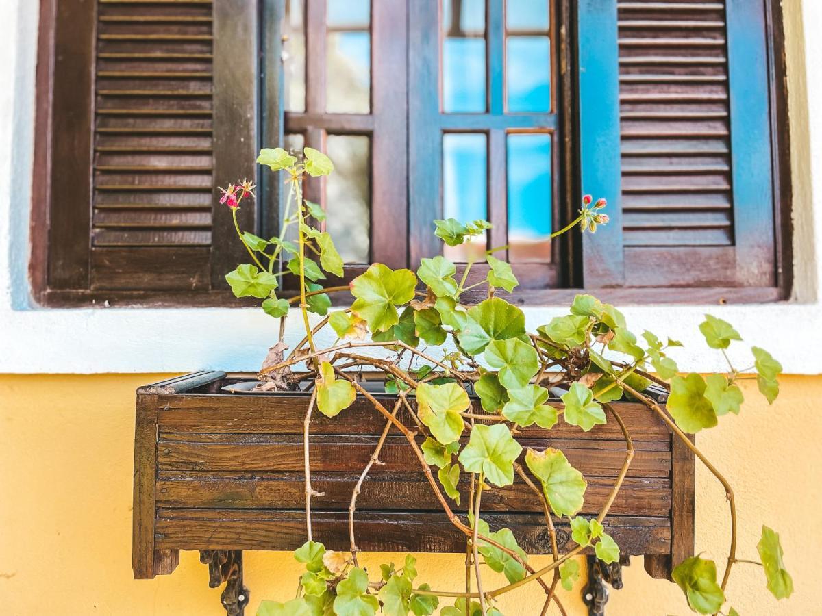 Pousada Flor De Ipe Sao Bento do Sapucai Ngoại thất bức ảnh